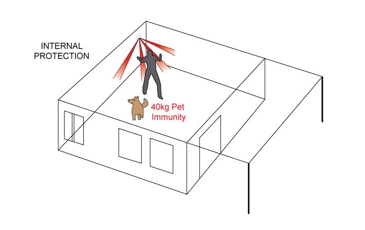 pir diagram 10