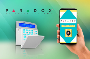 paradox website banner 4