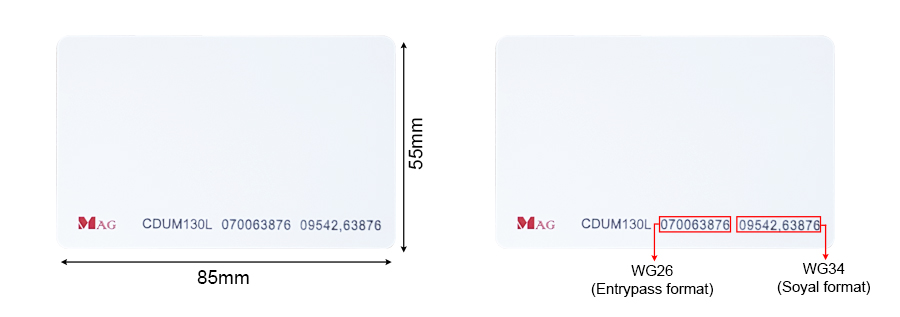 CDUM130L dual-frequency-UHF-mifare-card-in-malaysia